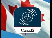 ArriveCAN app: Het online toegangsformulier voor Canada