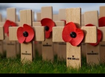 Remembrance Day 11 november