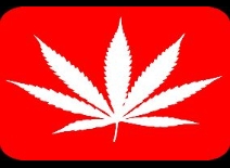 Canada legaliseert marihuana